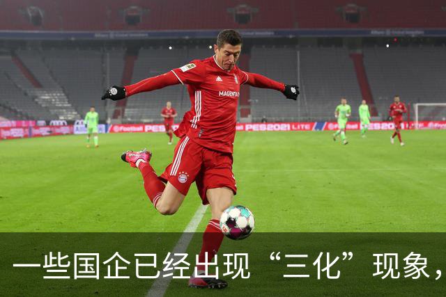 一些国企已经出现“三化”现象，而且这种现象有愈演愈烈的态势