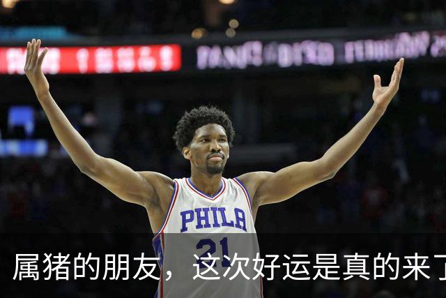 属猪的朋友，这次好运是真的来了