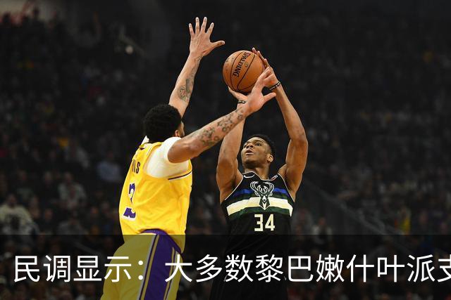 民调显示：大多数黎巴嫩什叶派支持解除真主党的武装，正在放弃真主党
