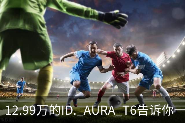 12.99万的ID. AURA T6告诉你一分钱能买两分货